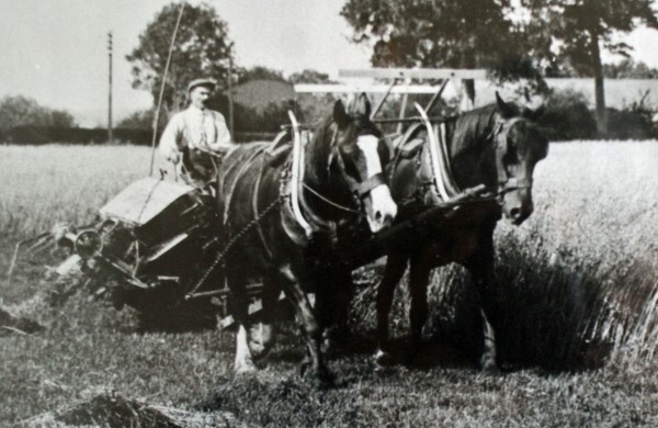 Isaac Lindsay at work in the fields near Doagh