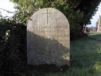 IM000274 No41