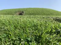 September 2023 Knowth 21