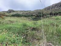 September 2023 Giants Causeway 5