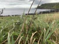 September 2023 Giants Causeway 9