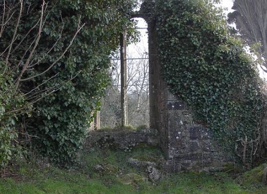 Corrick Window1