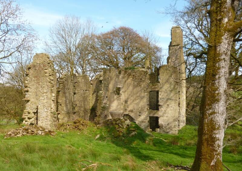 Derrywoon castle reduced