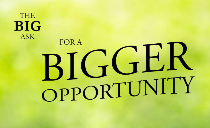 Big Ask Spring Advert