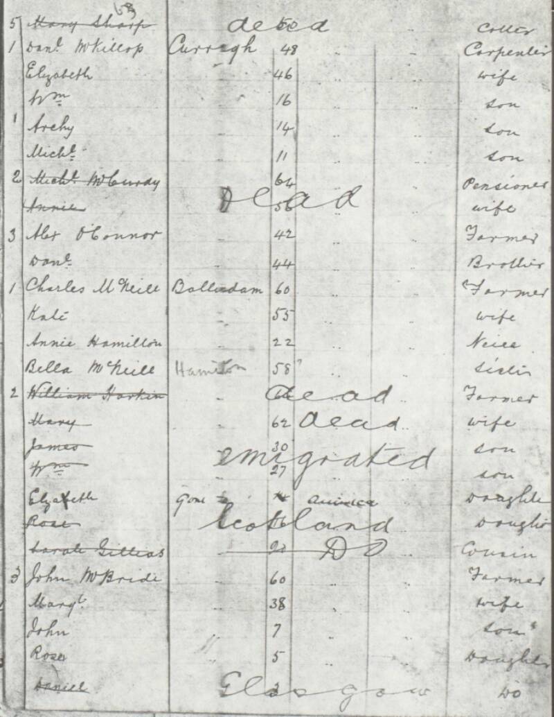 Knocknacarry census 2