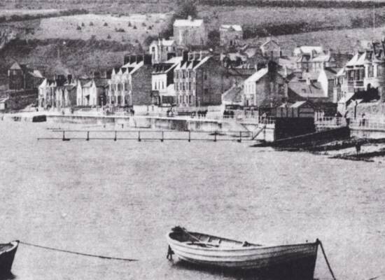 Whitehead harbour